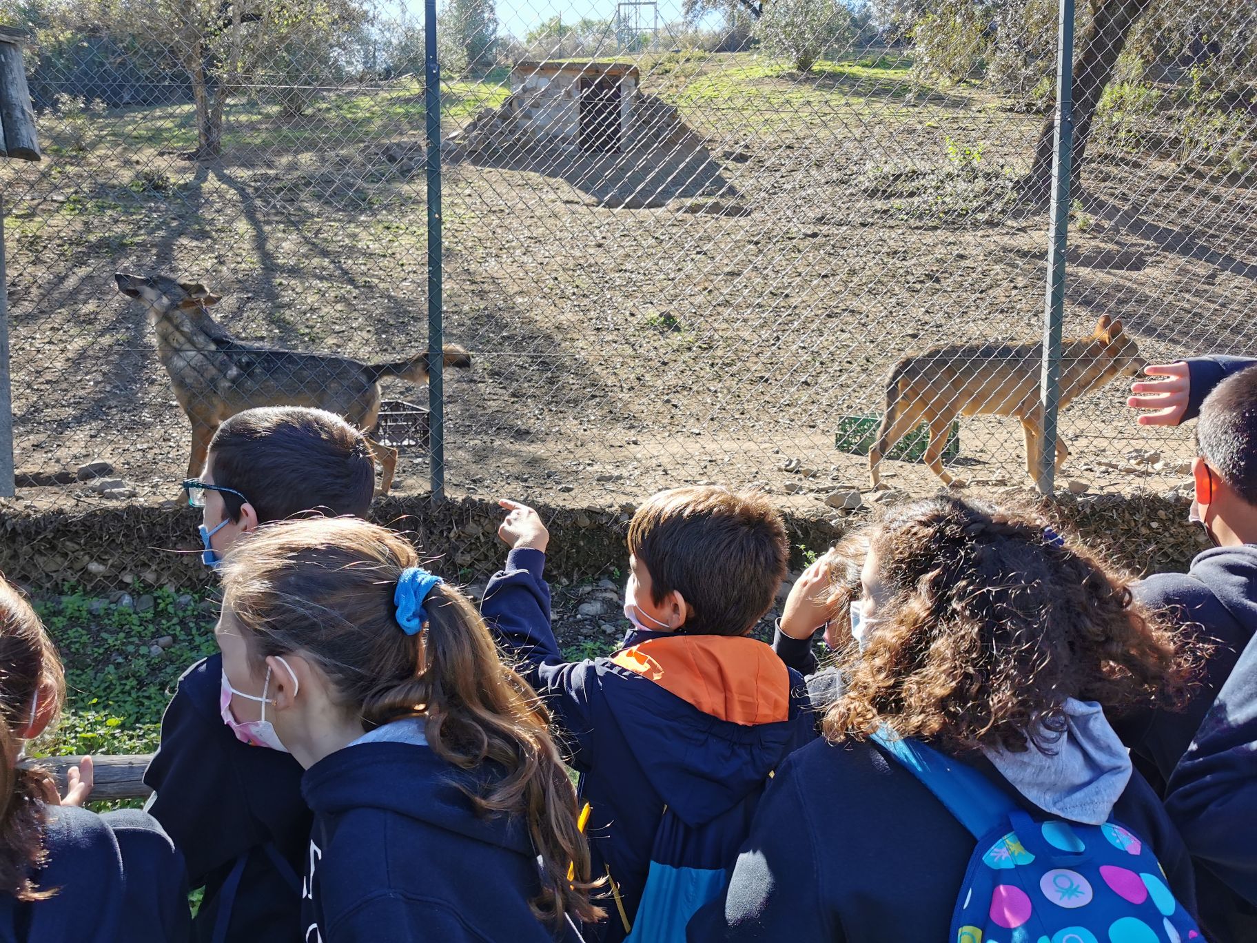 Alumnos de Educación Primaria del Colegio CEU San Pablo Sevilla visitan ...